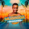 Shanandi